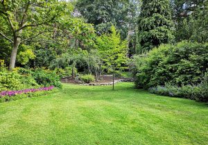 Optimiser l'expérience du jardin à Balizac