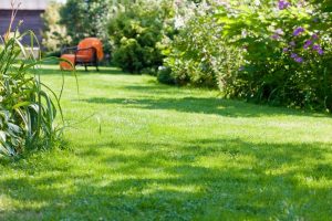 travaux jardin et paysage Balizac